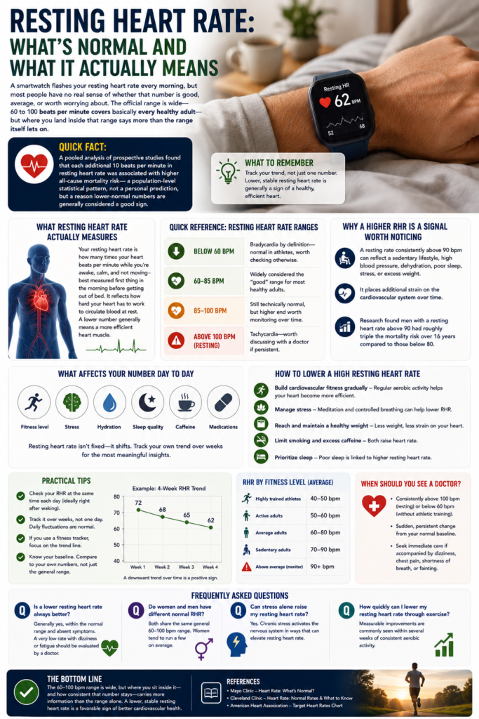 Resting Heart Rate: What’s Normal and What It Actually Means